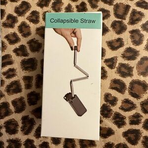 Collapsible Silver Straw (Pink)
